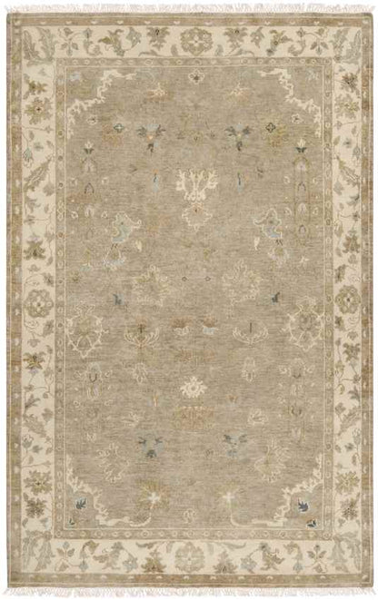 Weldon Traditional Beige Area Rug