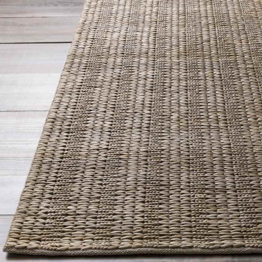 Widener Global Taupe Area Rug