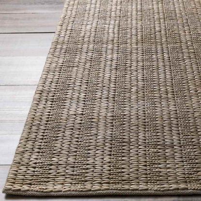 Widener Global Taupe Area Rug