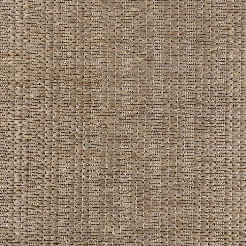 Widener Global Taupe Area Rug