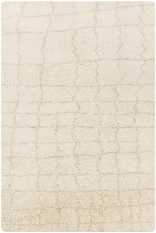 Wynne Modern Beige Area Rug