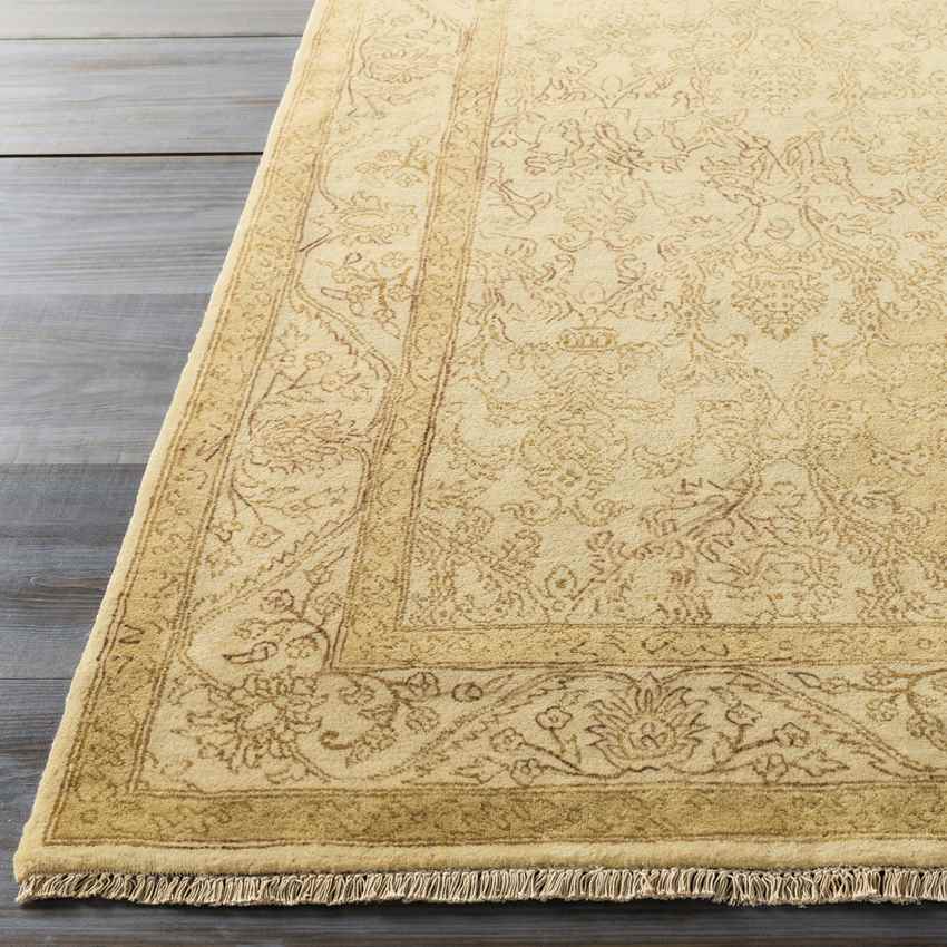 Yreka Traditional Gold Area Rug