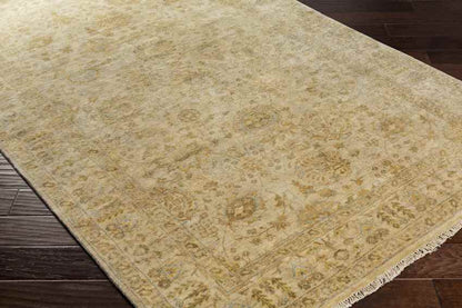 Zebulon Traditional Ivory Area Rug