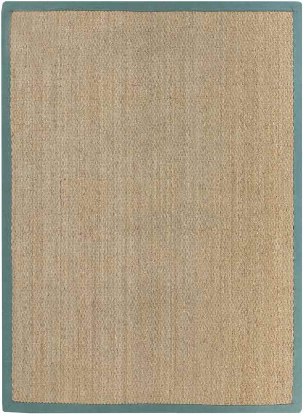 Crediton Cottage Teal Area Rug