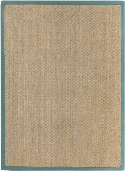 Crediton Cottage Teal Area Rug