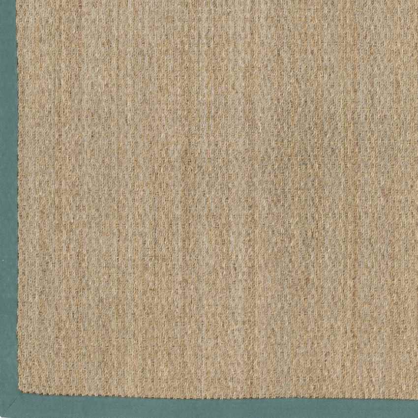 Crediton Cottage Teal Area Rug
