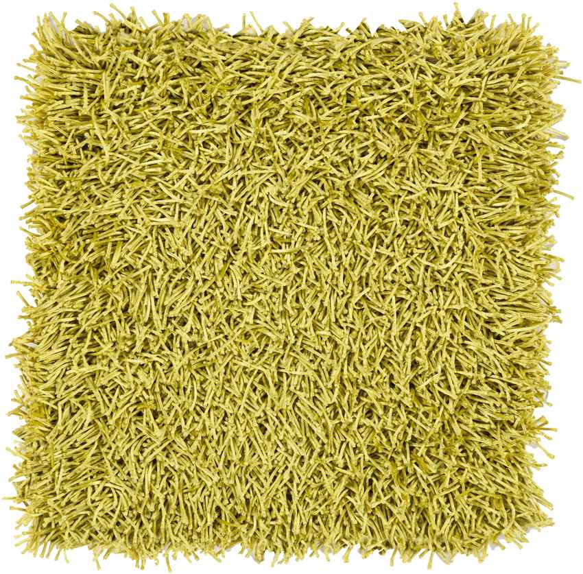 Corby Modern Lime Area Rug