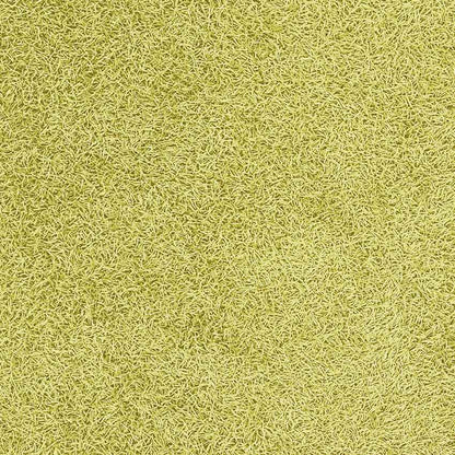 Corby Modern Lime Area Rug