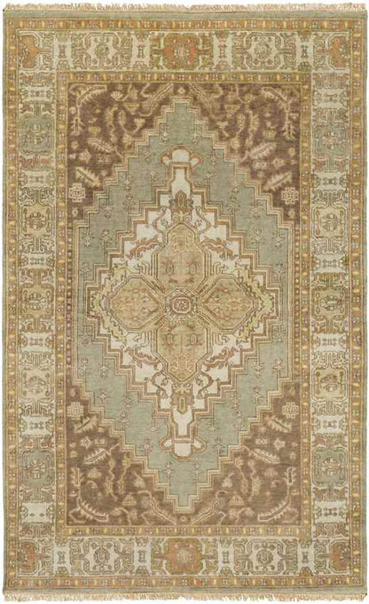 Antony Traditional Peach Area Rug