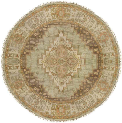 Antony Traditional Peach Area Rug