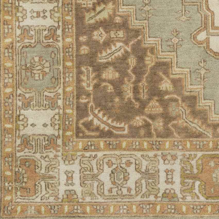 Antony Traditional Peach Area Rug