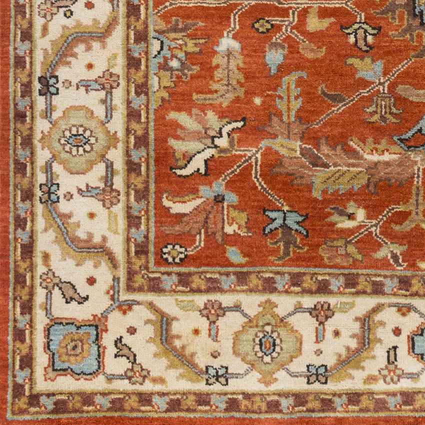 Grandview Traditional Burnt Orange Area Rug