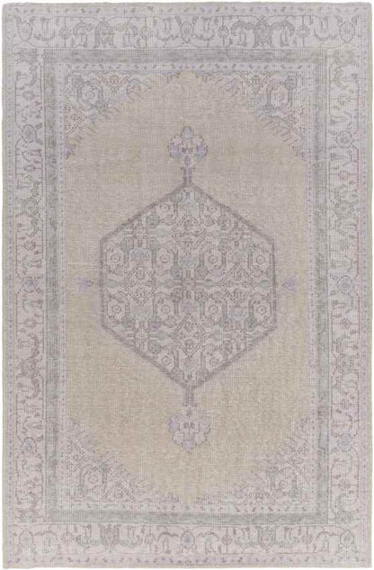Chieti Traditional Taupe/Lilac Area Rug