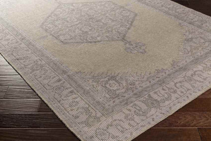 Chieti Traditional Taupe/Lilac Area Rug