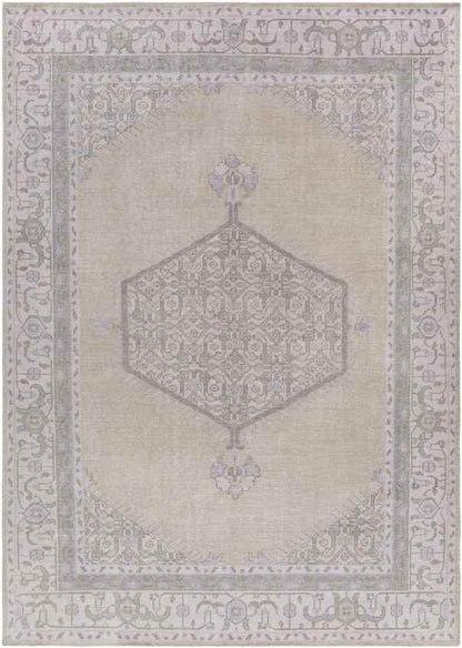 Chieti Traditional Taupe/Lilac Area Rug