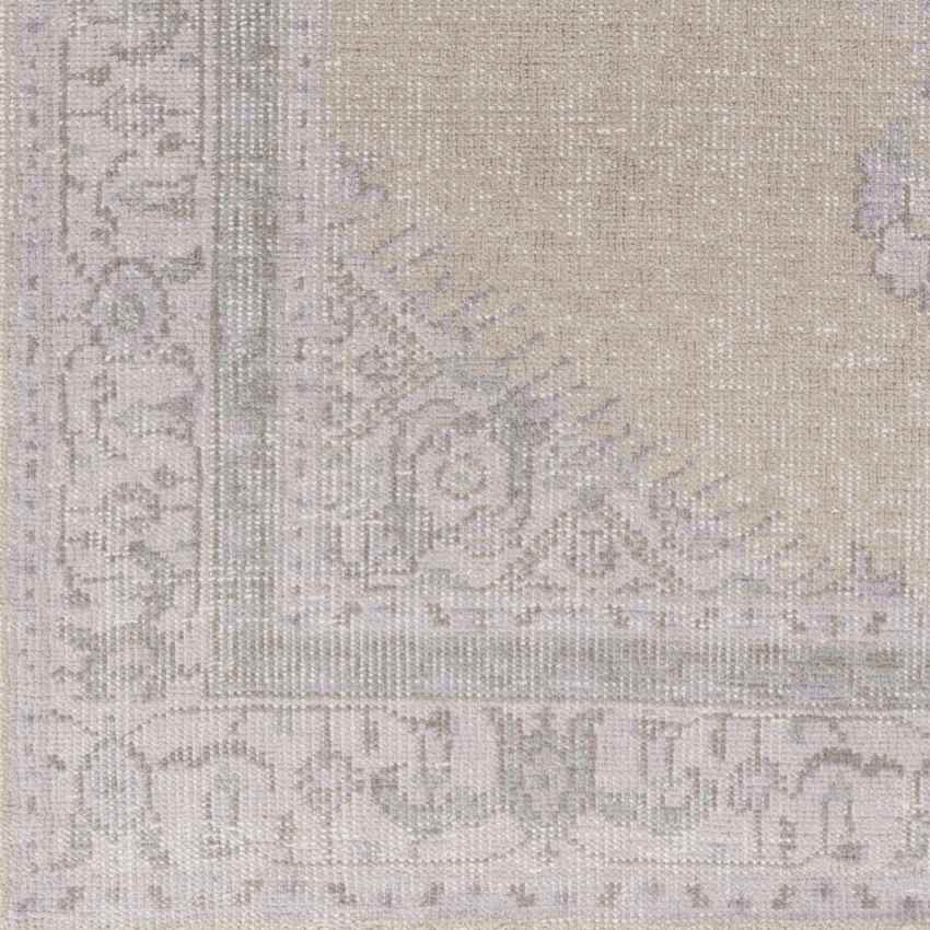 Chieti Traditional Taupe/Lilac Area Rug