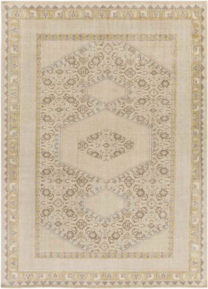 Scafati Traditional Beige Area Rug