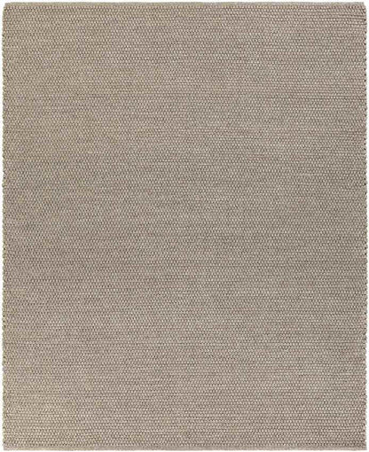 Erith Modern Light Gray Area Rug