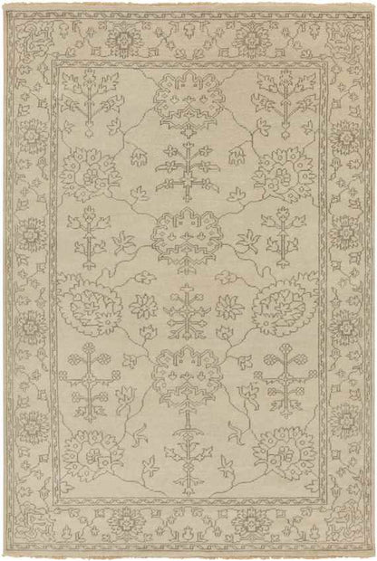 Hailsham Traditional Khaki Area Rug