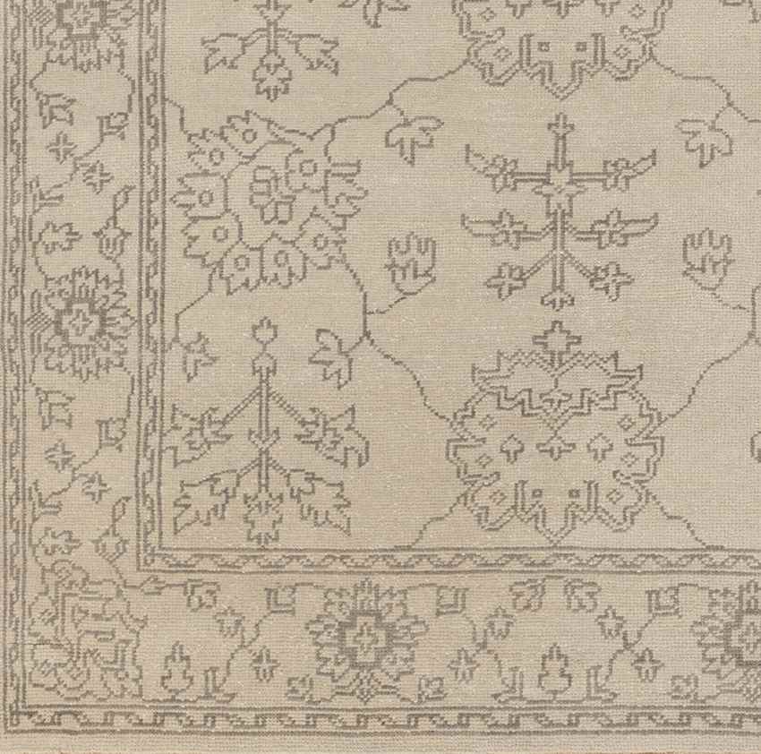 Hailsham Traditional Khaki Area Rug