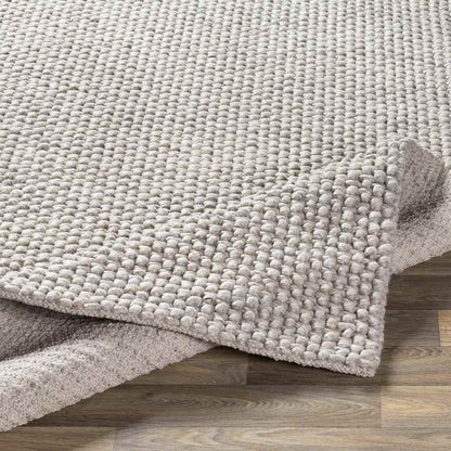 Keynsham Modern Light Gray Area Rug