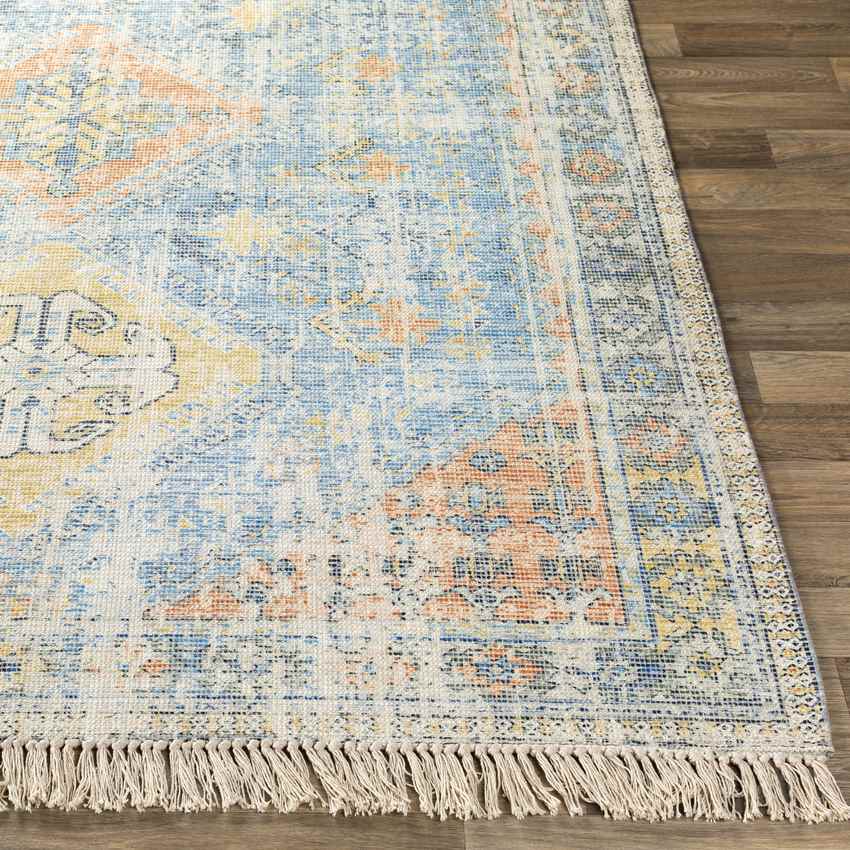 Sandown Traditional Sky Blue Area Rug