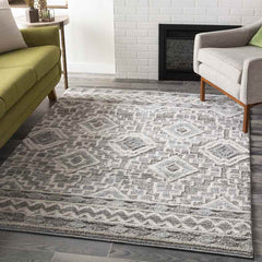 Sudbury Global Medium Gray Area Rug