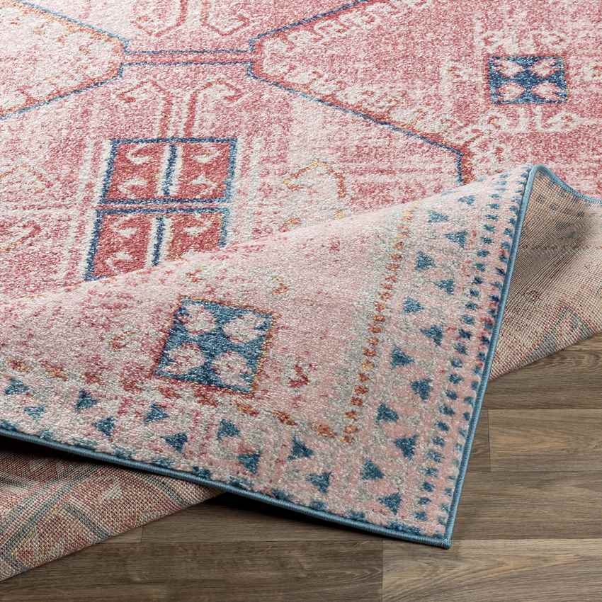 Tamworth Traditional Blush Area Rug