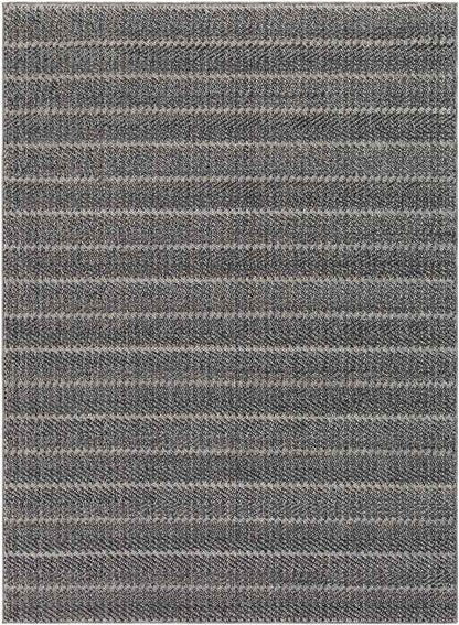 Thaxted Global Medium Gray Area Rug