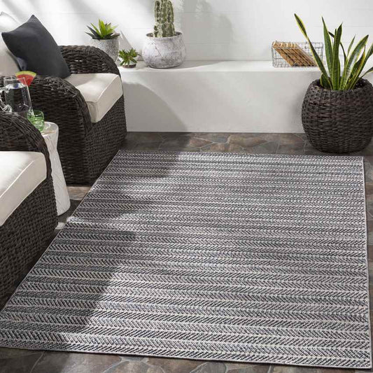 Thaxted Global Medium Gray Area Rug