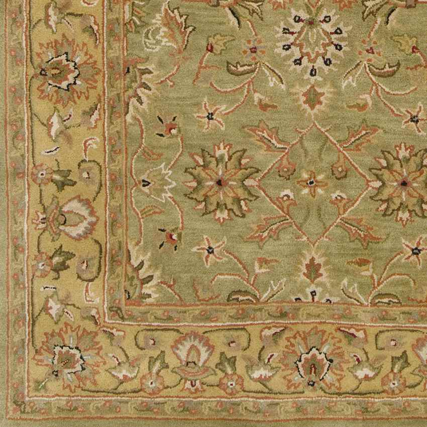 Forli Traditional Khaki Area Rug