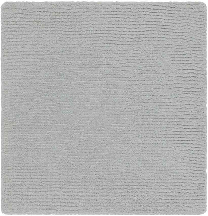 Rennes Modern Medium Gray Area Rug