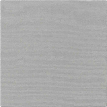 Rennes Modern Medium Gray Area Rug