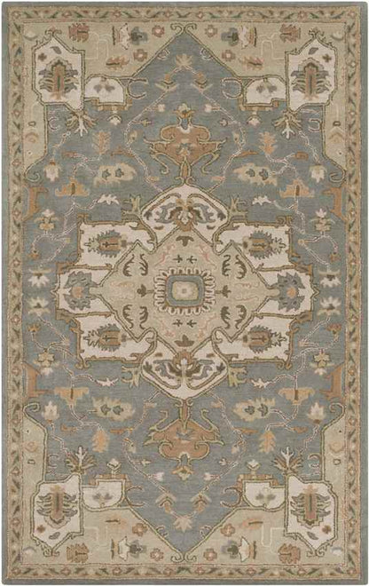 Roblin Traditional Medium Gray Area Rug