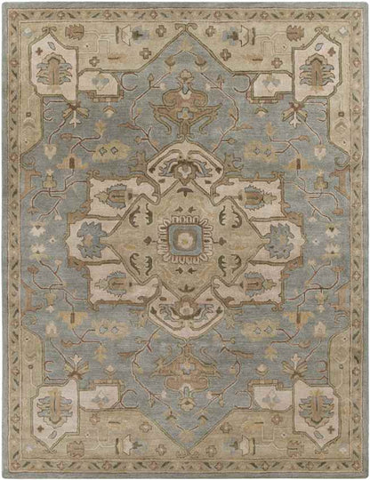 Roblin Traditional Medium Gray Area Rug