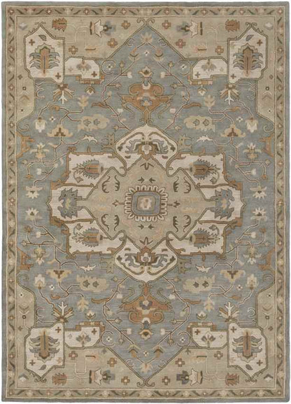 Roblin Traditional Medium Gray Area Rug
