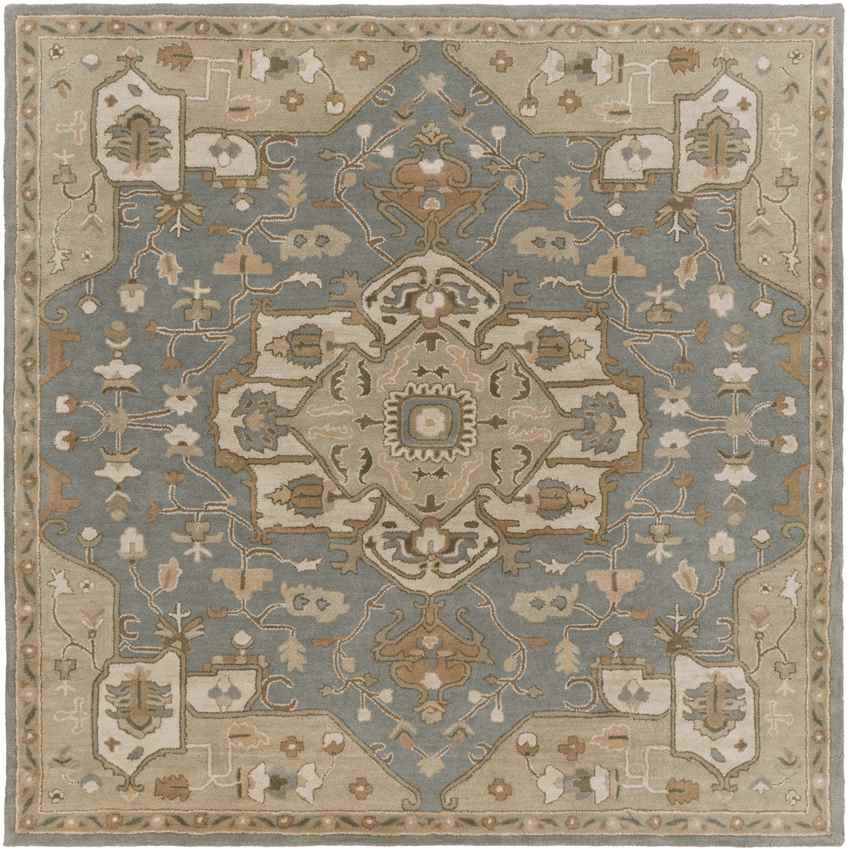 Roblin Traditional Medium Gray Area Rug