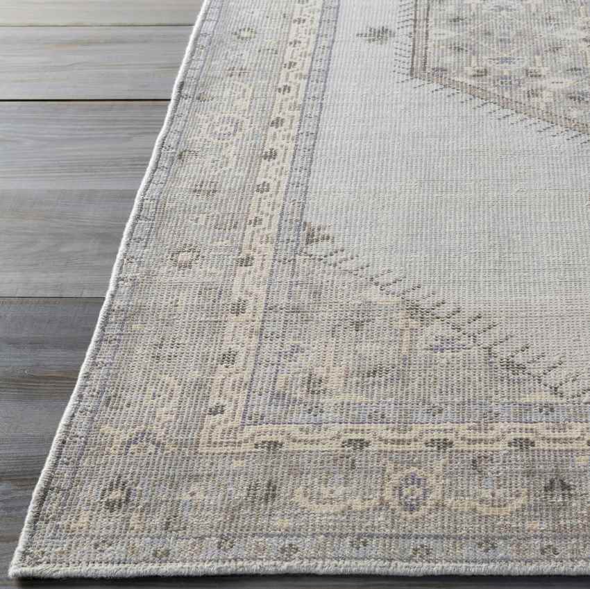 Chieti Traditional Light Gray Area Rug