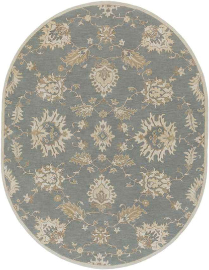 Beresford Traditional Medium Gray Area Rug