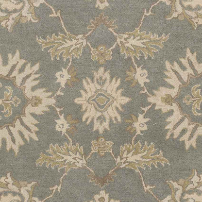 Beresford Traditional Medium Gray Area Rug