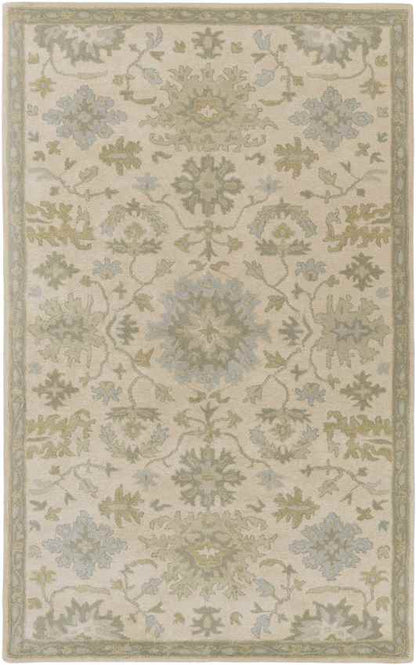Ness Traditional Beige Area Rug