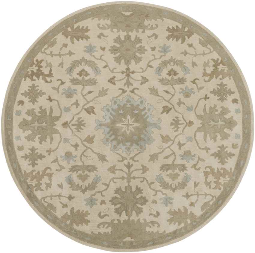 Ness Traditional Beige Area Rug