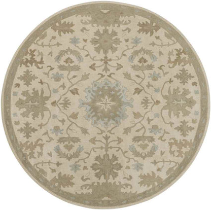 Ness Traditional Beige Area Rug