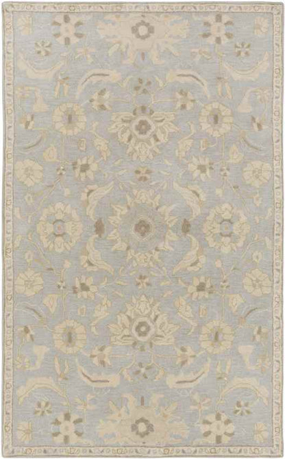 Caraquet Traditional Light Gray Area Rug