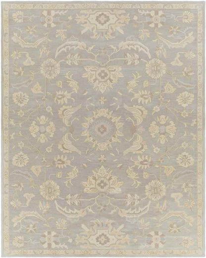 Caraquet Traditional Light Gray Area Rug
