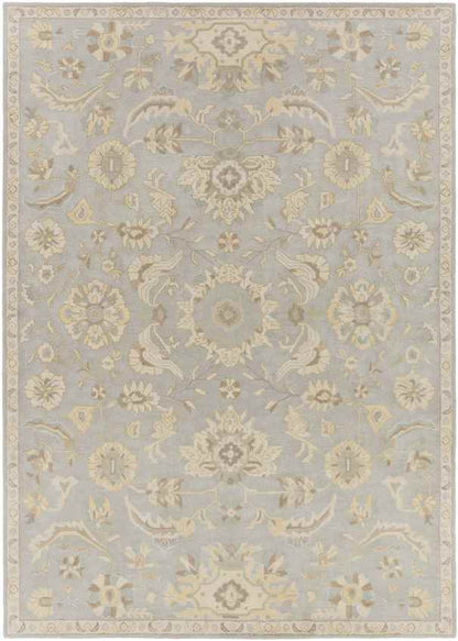 Caraquet Traditional Light Gray Area Rug