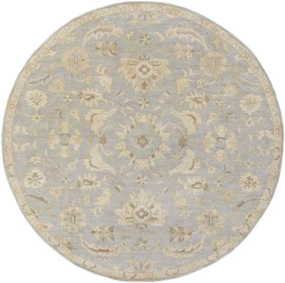 Caraquet Traditional Light Gray Area Rug