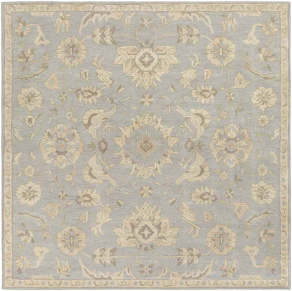 Caraquet Traditional Light Gray Area Rug