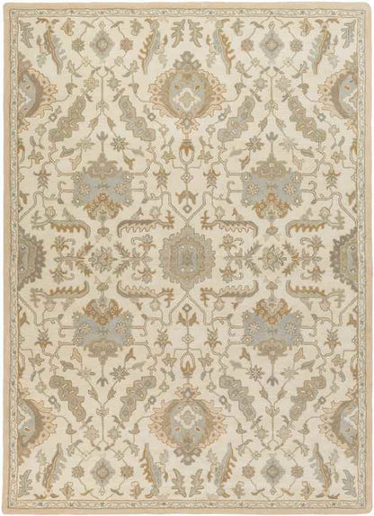Nackawic Traditional Beige Area Rug