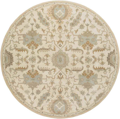 Nackawic Traditional Beige Area Rug